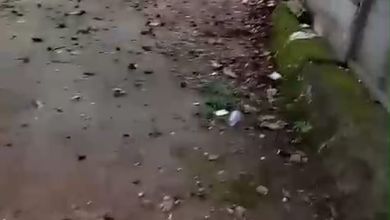 For Sale Tanah Eksklusif di Legok, Tangerang, LT 4600m²