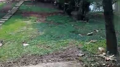 Kesempatan Tanah Murah di Parung, Bogor, Luas 13m²