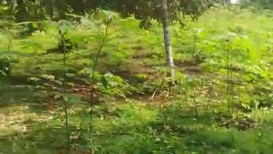 Segera Miliki Tanah Harga Ekonomis di Kota Sukabumi, Sukabumi