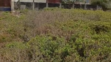 For Sale Tanah Eksklusif di Surabaya Kota, Surabaya, LT 8500m²