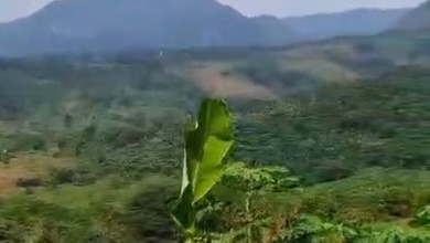 Tanah Elit Dijual di Jonggol, Bogor, Harga 13,8 Miliar