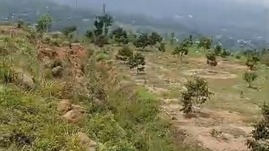 Dijual Tanah Premium di Sentul, Bogor, LT 66000m²