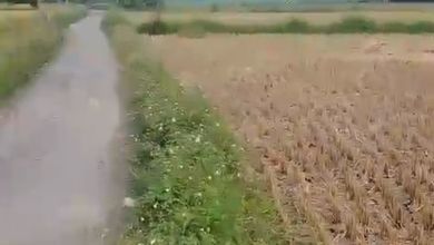 Dijual Tanah Eksklusif di Cikande, Serang, LT 240000m²