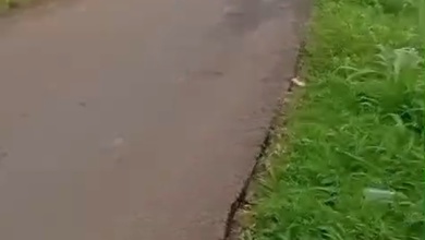 Dijual Tanah Premium di Gunung Sindur, Bogor, LT 50000m²