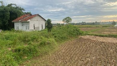 Dijual Tanah Premium di Legok, Tangerang, LT 935m²