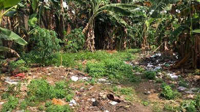 Tanah LT 1375 m2 Area Strategis Pejaten, Dijual Terjangkau