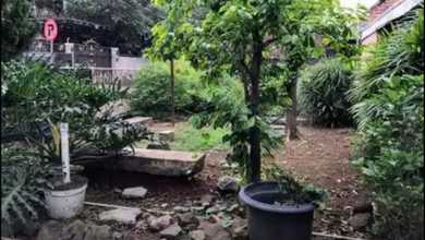 Kesempatan Eksklusif, rumah Mewah di Menteng, Jakarta Pusat, LB 300m²