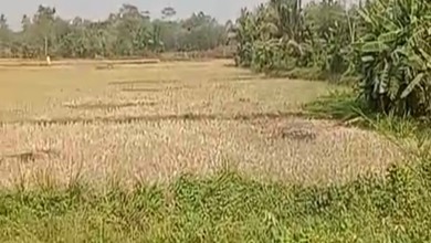 For Sale Tanah Premium di Cikande, Serang, LT 130000m²