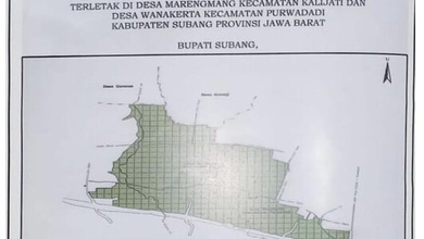 Tanah Bisnis Dekat Jalan Raya Daerah Purwadadi
