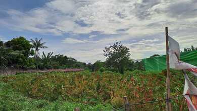 Jual Tanah di Komplek Pasar Kemis Pemandangan Danau dan Taman