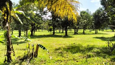 Kavling Prestisius Dijual di Cikupa, Tangerang, Harga 1750 Triliun