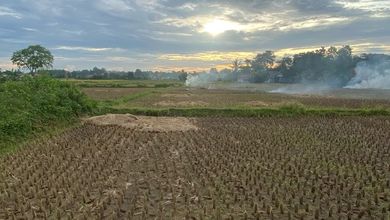 Dijual Tanah Premium di Cikeusal, Serang, LT 9013m²