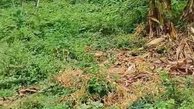 Dijual Tanah Eksklusif di Rawamangun, Jakarta Timur, LT 3065m²