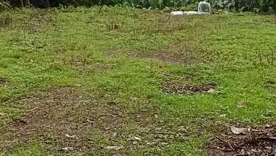 Dijual Tanah Premium di Sentul, Bogor, LT 2184m²