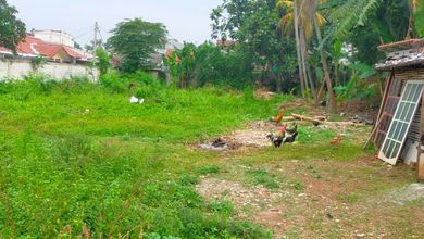 Tanah Elit Dijual di Jagakarsa, Jakarta Selatan, Harga 16,5 Triliun