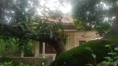 Hunian Mewah di Kawasan Menteng, Jakarta Pusat, LB 200m², Harga 18,2 Miliar