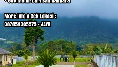 Investasi Tanah Murah di Bedugul, Tabanan, Luas 5000m²