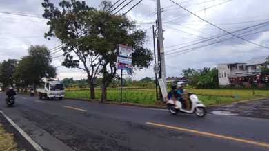 Jual Tanah Kawasan Cluster Buleleng Pemandangan Danau dan Taman