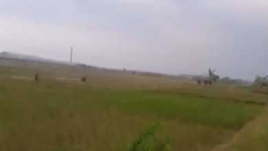 For Sale Tanah Eksklusif di Subang, Subang, LT 40000m²