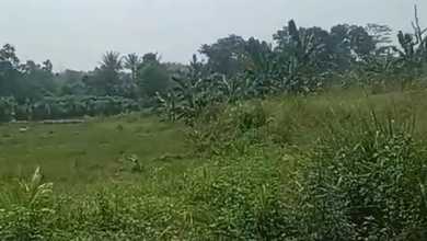 Tanah Elit Dijual di Cileles, Lebak, Harga 10,6 Miliar