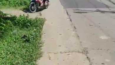 Dijual Tanah Premium di Cileles, Lebak, LT 4000m²