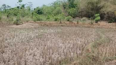 Kavling Prestisius Dijual di Subang, Subang, Harga 27,5 Miliar