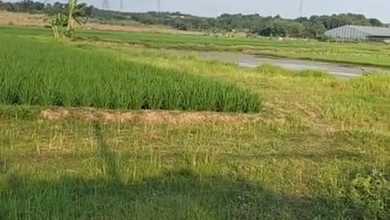 Dijual Tanah Eksklusif di Karawang Barat, Karawang, LT 120000m²