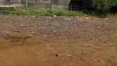 Tanah Elit Dijual di Cakung, Jakarta Timur, Harga 135 Miliar