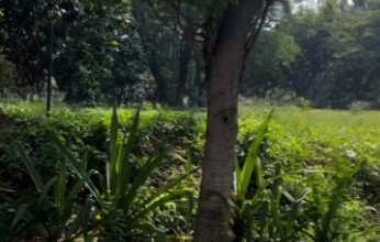 For Sale Tanah Premium di Kelapa Gading, Jakarta Utara, LT 420m²