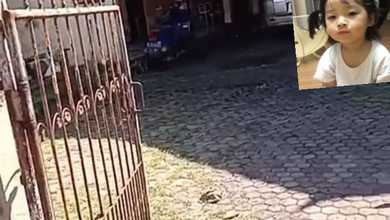 Rumah Mewah Luas 300 m2, di Denpasar Selatan, Denpasar