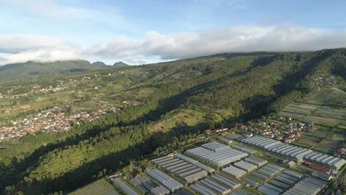 Kavling Prestisius Dijual di Lembang, Bandung, Harga 4500 Triliun