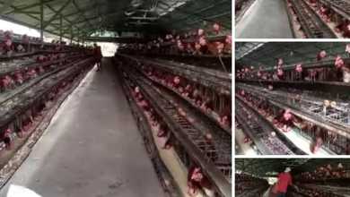 Dijual Tanah Eksklusif di Rumpin, Bogor, LT 110000m²