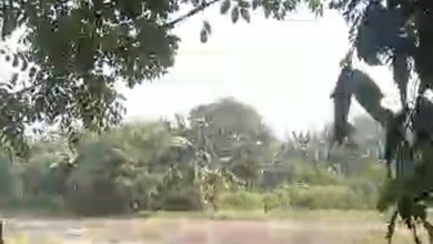 Kavling Prestisius Dijual di Tambun Selatan, Bekasi, Harga 128 Miliar