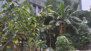 For Sale Tanah Premium di Karet, Jakarta Selatan, LT 2200m²