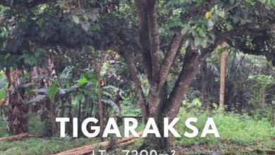 For Sale Tanah Premium di Tigaraksa, Tangerang, LT 7390m²