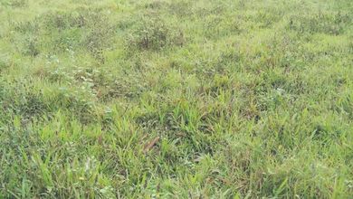 Tanah Elit Dijual di Cikupa Citra Raya, Tangerang, Harga 5,62 Miliar