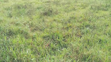 Dijual Tanah Premium di Pasar Kemis, Tangerang, LT 25000m²