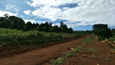 For Sale Tanah Premium di Citeureup, Bogor, LT 60000m²