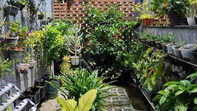 Rumah Dijual di Gunung Putri, Bogor, LB 160m², Harga Kompetitif!