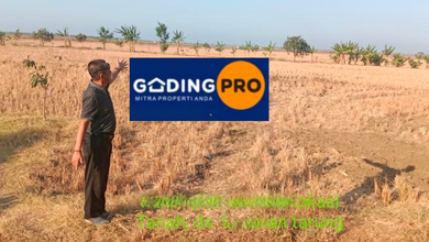 Dijual Tanah Eksklusif di Indramayu Kota, Indramayu, LT 14000000m²