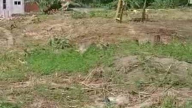 For Sale Tanah Premium di Cimanggis, Depok, LT 16500m²