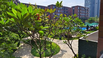 Apartemen Sewa Harga Terjangkau di Alam Sutera, Tangerang