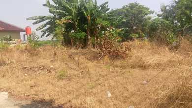 Dijual Tanah di Lokasi Premium Rorotan, Jakarta Utara, Harga 1,77 Miliar