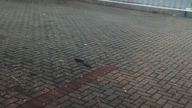 Disewakan gudang Lokasi JGC cocok untuk stok makanan