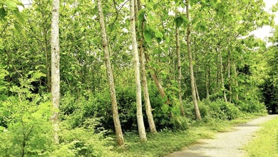 Tanah Nyaman untuk Hunian di Madiun, Madiun, Luas 1500m²