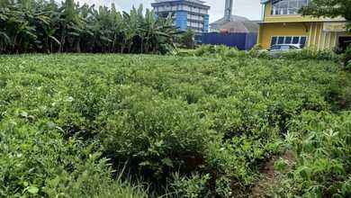 For Sale Tanah Premium di Dieng, Malang, LT 588m²