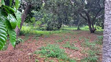 Tanah Elit Dijual di Cileungsi, Bogor, Harga 4,5 Miliar