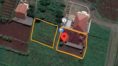 Tanah Elit Dijual di Dramaga, Bogor, Harga 900 Miliar