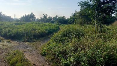 Tanah Elit Dijual di Legok, Tangerang, Harga 98 Miliar