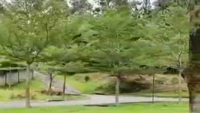 Tanah Ideal untuk Hunian di Sentul, Bogor, Luas 300m²